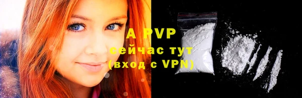 гашик Россошь